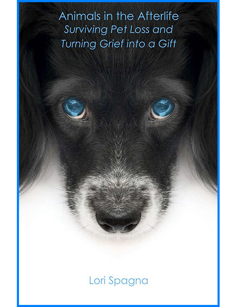 Animals in the Afterlife: Surviving Pet Loss and Turning Grief into a Gift