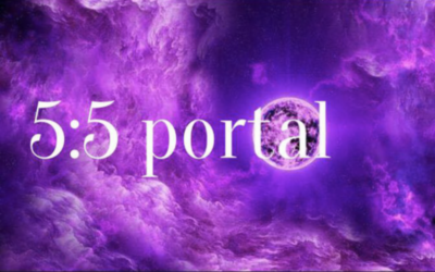 Welcome to Today’s 5-5 Portal Gateway