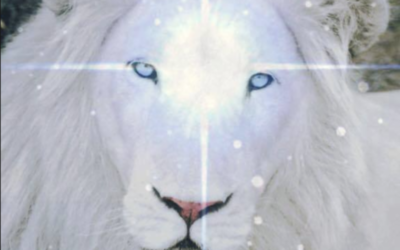 Getting Ready for The Lion’s Gate and The Next Wave of Light, Sound, Frequency Pattern Activations and Sacred Key Code Activations