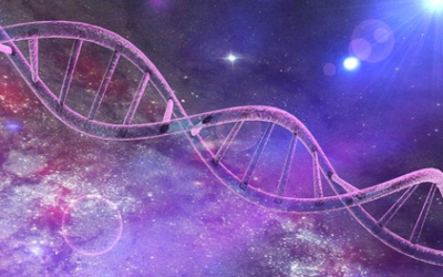 Calling All Lightworkers & Awakening Beings: Ascension Update Next Ascension, Manifestation & Healing Circle with DNA Activations ~ Thursday, May 25th