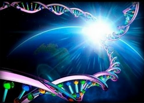 Calling All Lightworkers & Awakening Beings: Ascension Update Next Ascension, Manifestation & Healing Circle with DNA Activations ~ Thursday, May 25th